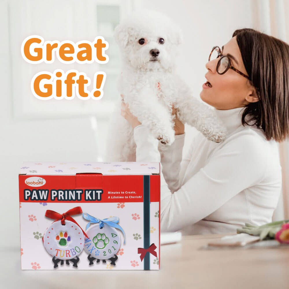 LOOBANI Dog Paw Print Ornaments Kit