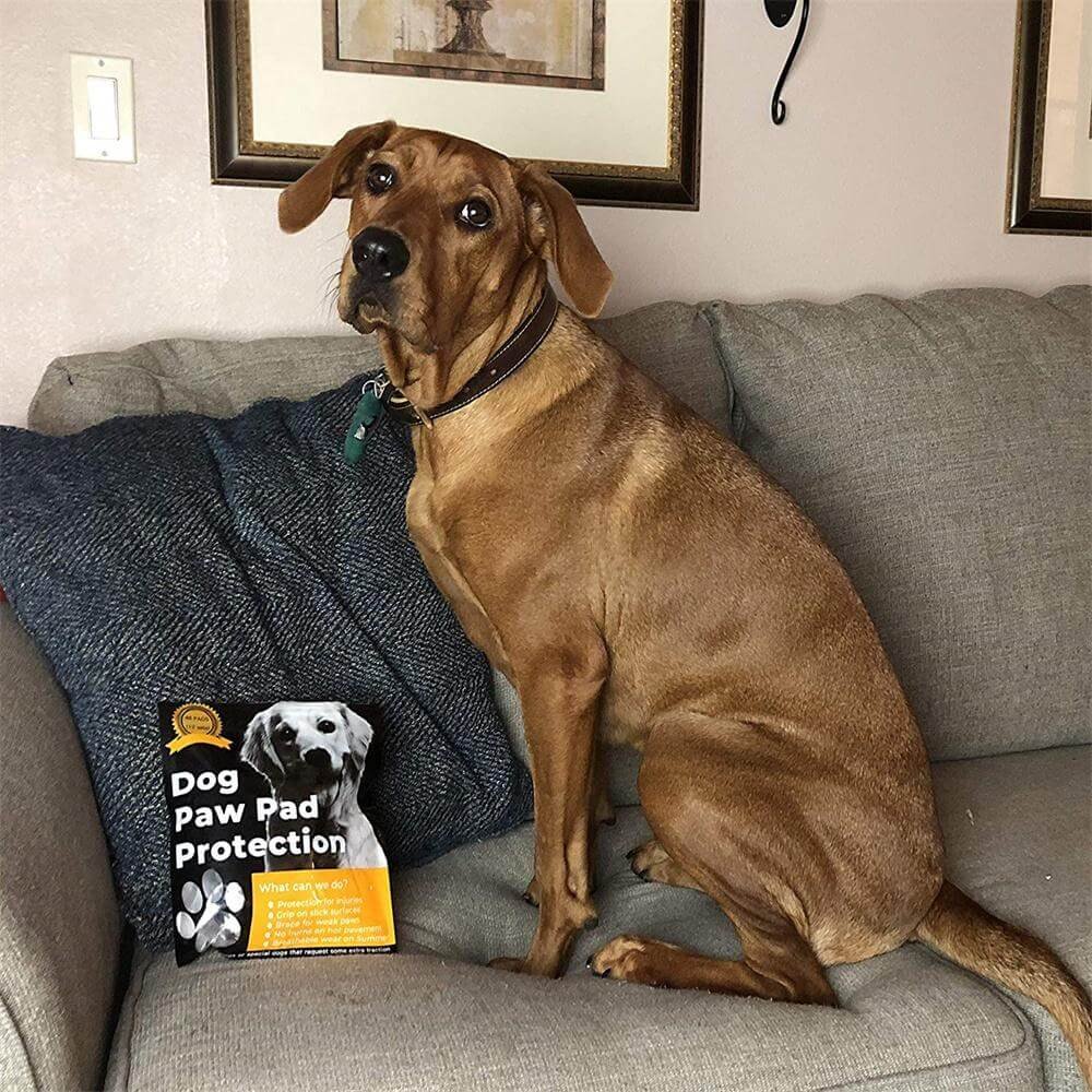 paw pad protector