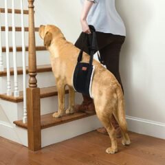 LOOBANI Dog Sling for Back Legs 05