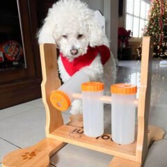https://loobani.com/wp-content/uploads/2020/12/LOOBANI-Dogs-Food-Puzzle-Feeder-Toys-04-240x240.jpg