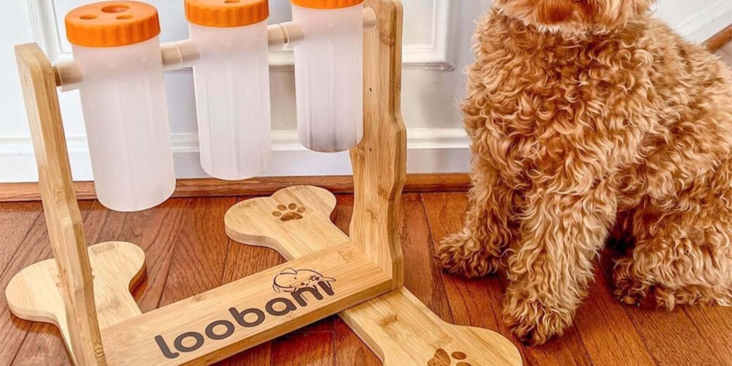 LOOBANI Dogs Food Puzzle Feeder Toys 05