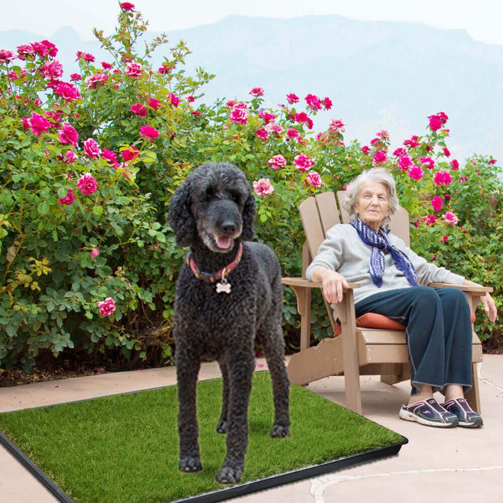 Large dog potty on sale tray