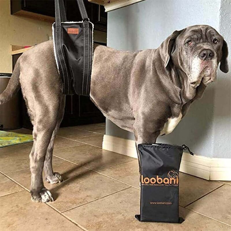LOOBANI Portable Dog Sling for Back Legs (3)
