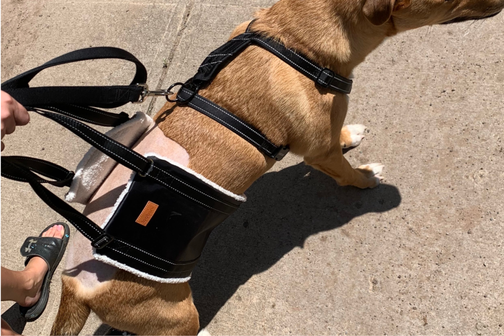 How effective are dog slings