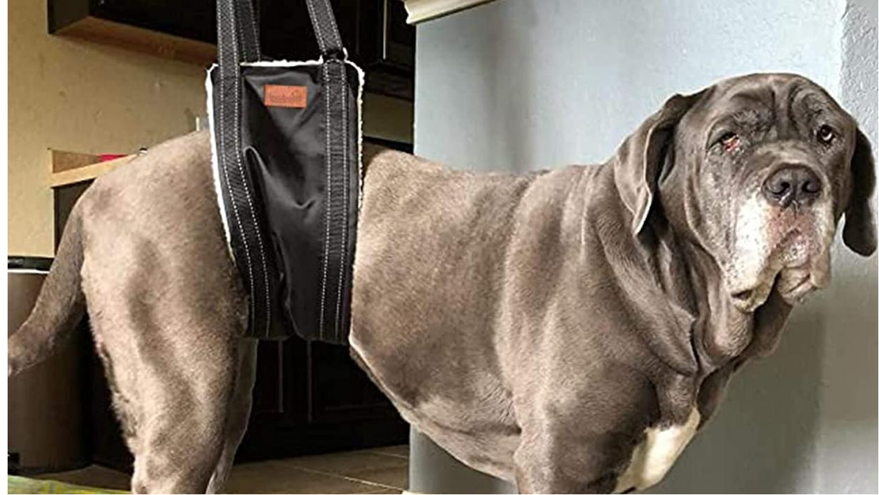 How to make a dog sling