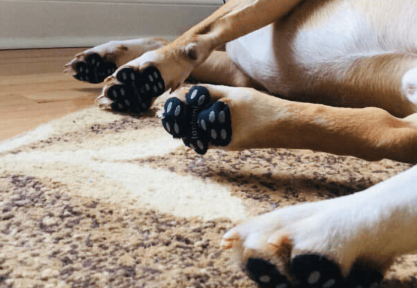 dog paw covers for hardwood floors