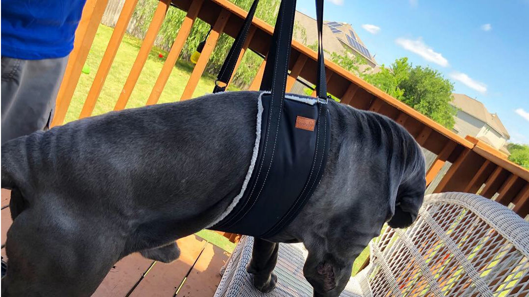 how to use dog sling