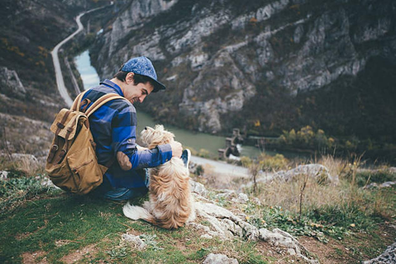 How to protect dogs’ paws when hiking