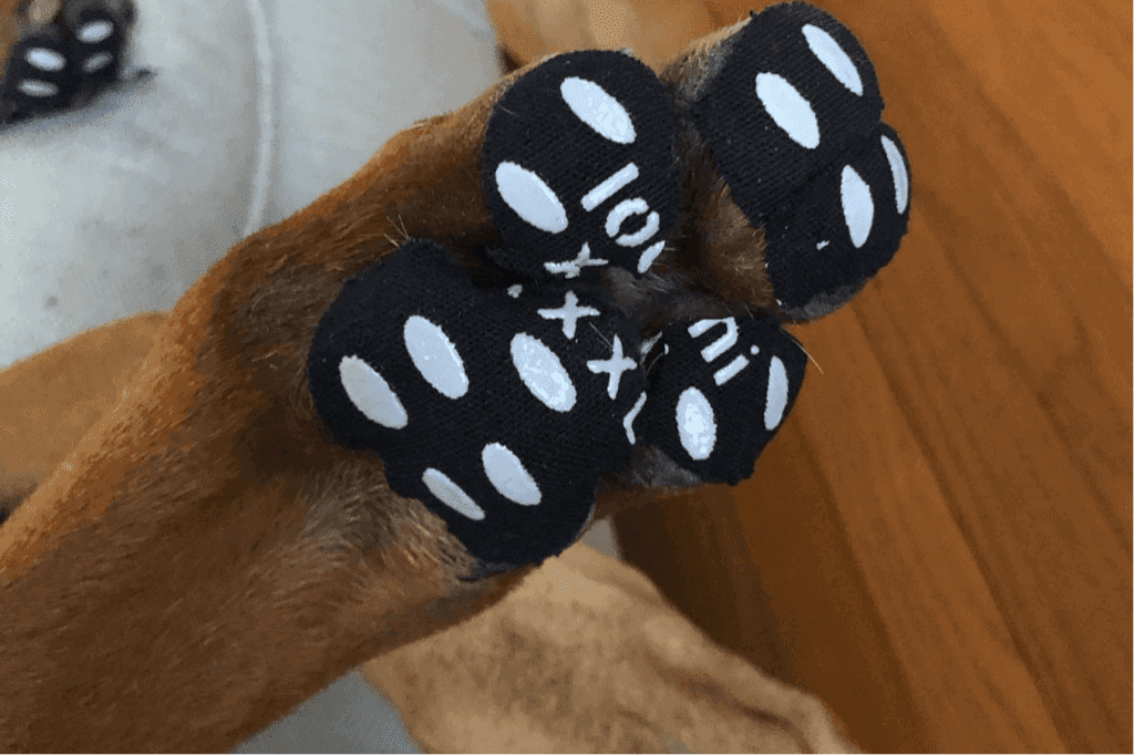 how to protect dog paws from hot pavement