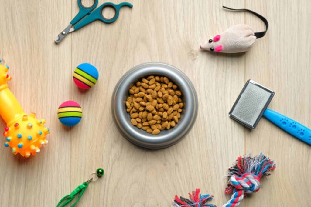 Best Interactive Pet Toys to Fight Boredom & Loneliness