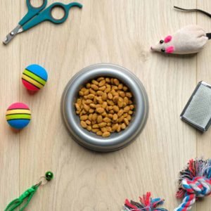 Loobani Focuses On Developing And Selling Pet Dog Products