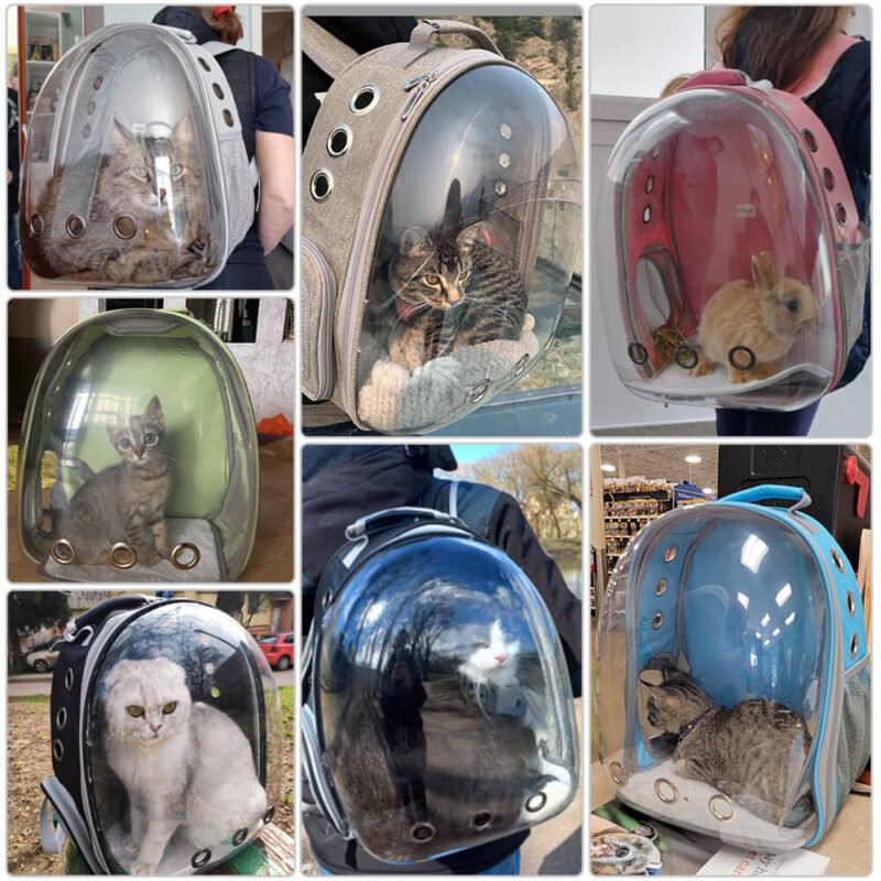 Breathable Pet Carriers (3)
