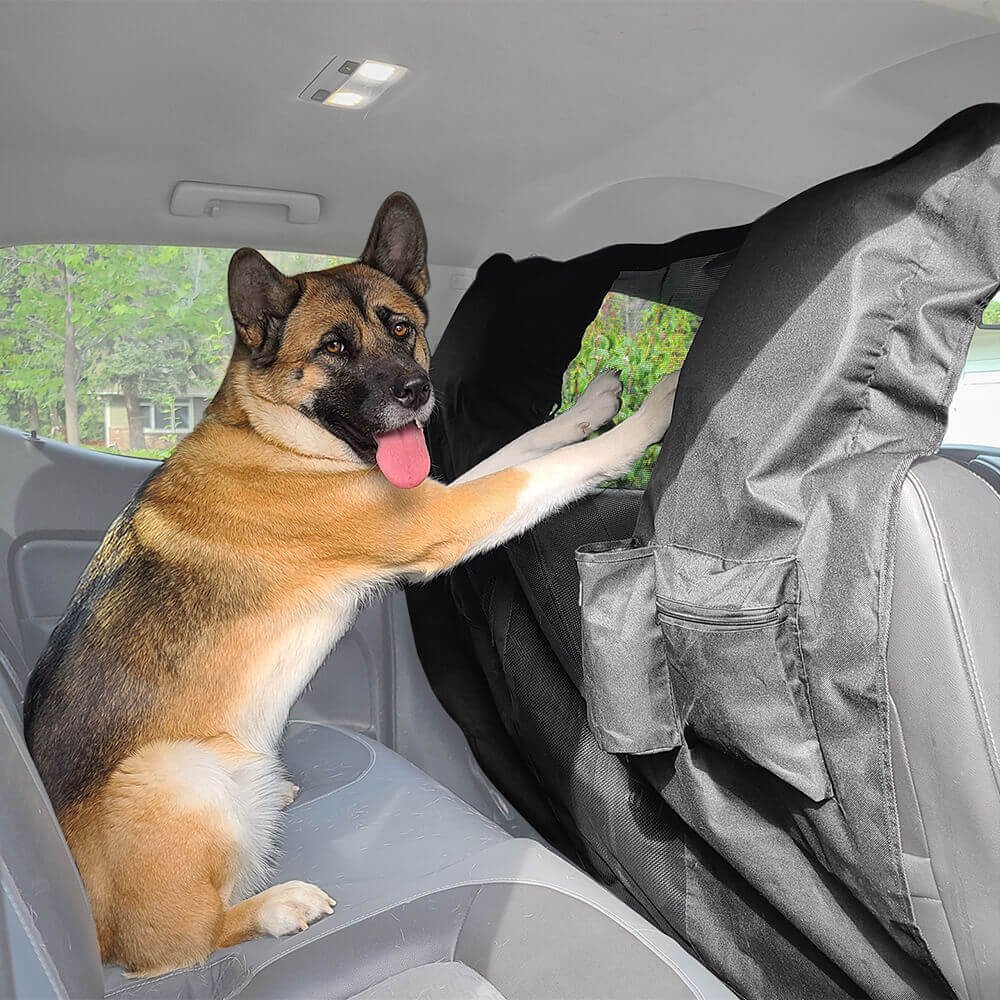 Back seat dog barriers for clearance cars