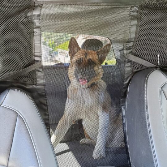 Dog Car Net Barrier
