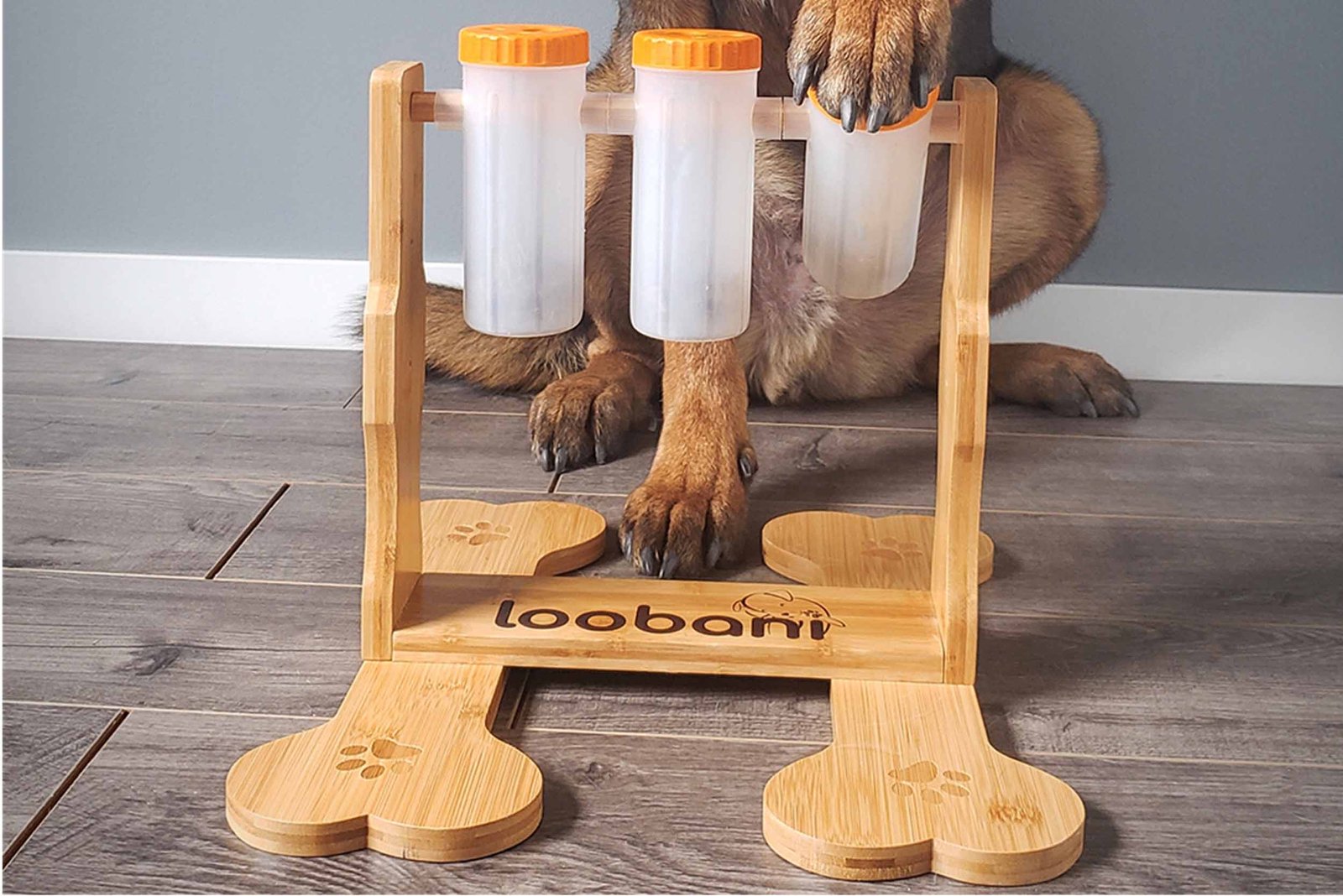 Interactive treat dispensing dog toys