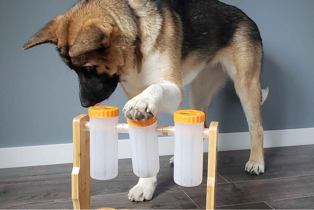 Homemade interactive outlet dog toys