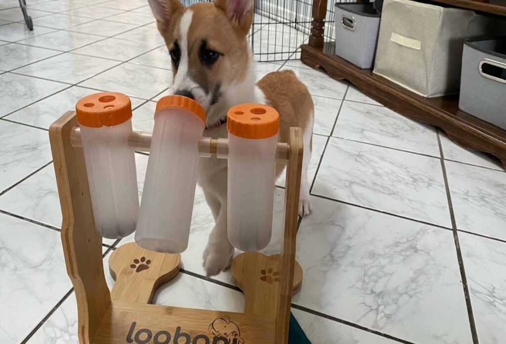 Durable interactive dog toys