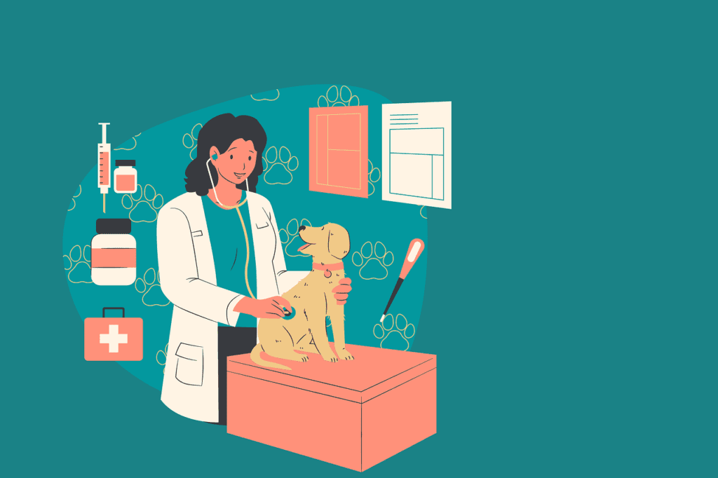 How Much Is Dog Health Insurance