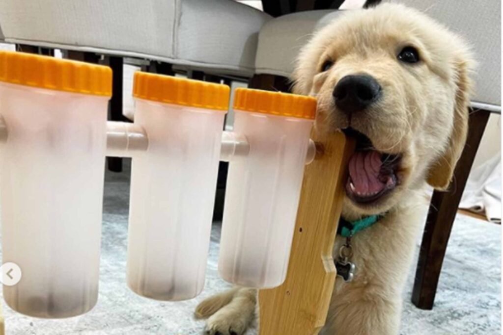 Durable interactive dog toys