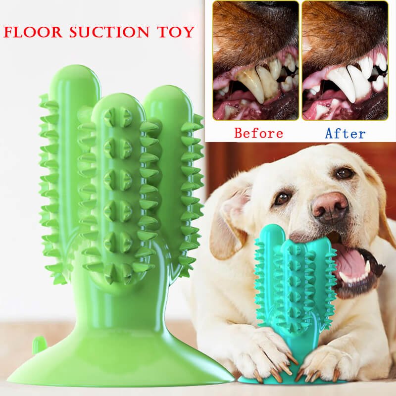 Dog Toothbrush Toy (1)