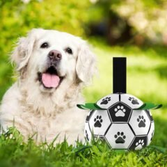 Loobani Interactivae Dog Toy