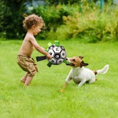 https://loobani.com/wp-content/uploads/2021/12/Interactive-Pet-Football-Toys-With-Grab-5-240x240.jpg