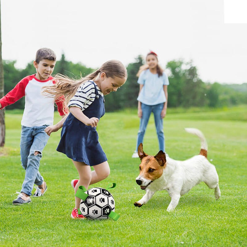 PetsH Dog Outdoor Football Interactive Toys for Fetching Grabbing