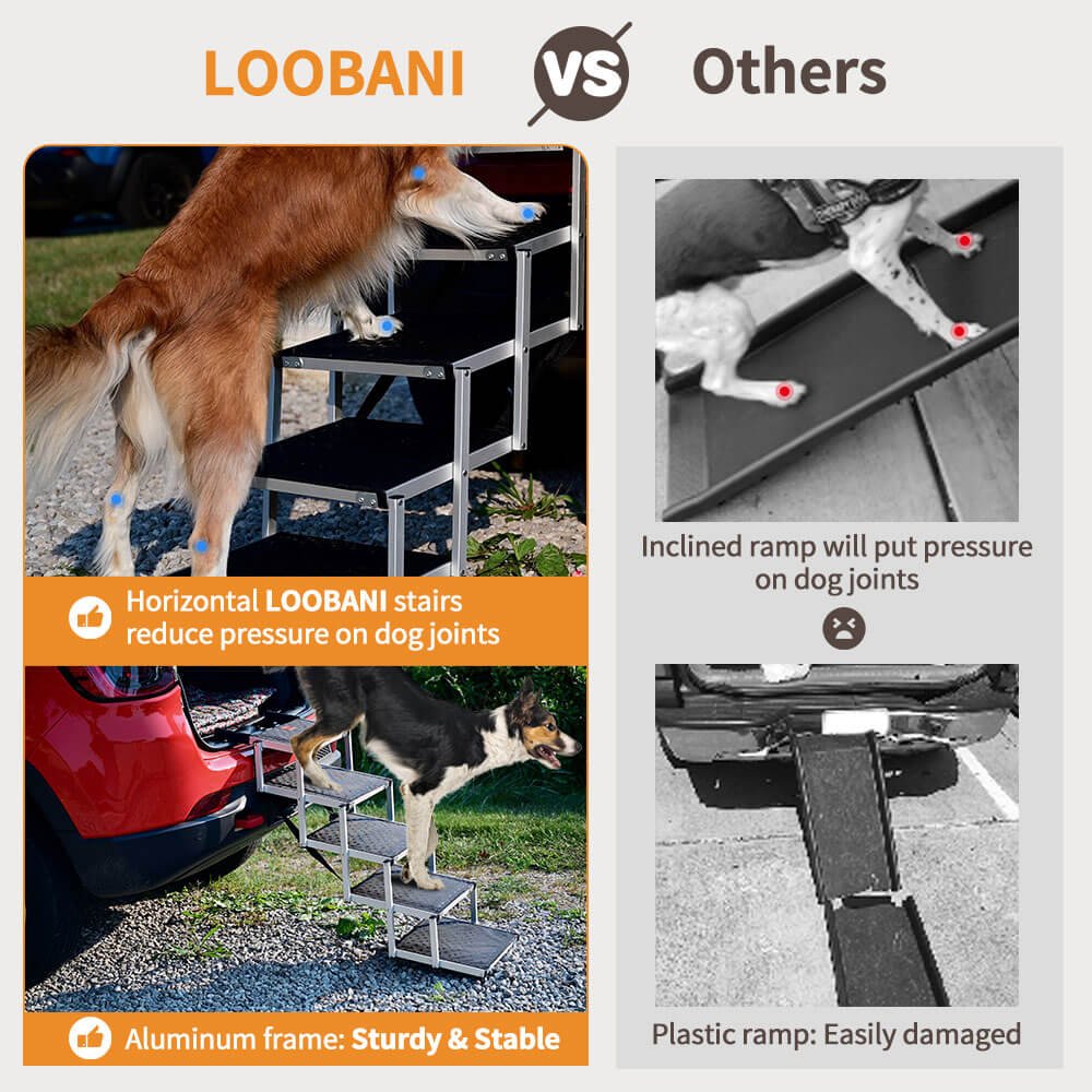 Loobani Dog Ramp for Car Foldable Design and Sturdy Aid