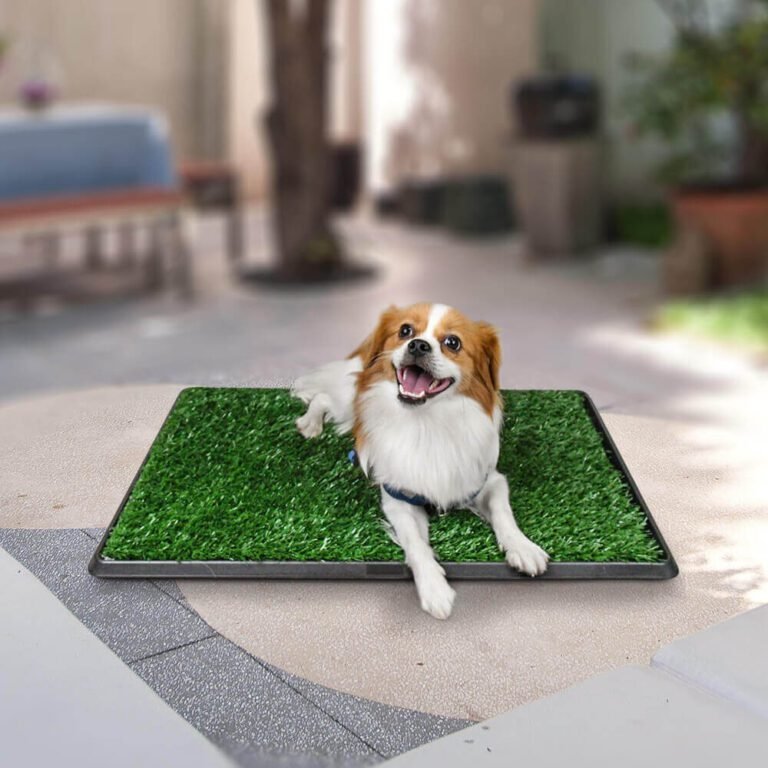 Indoor Dog Potty Systems