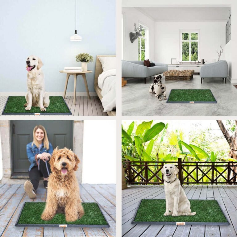 Indoor Dog Potty Systems