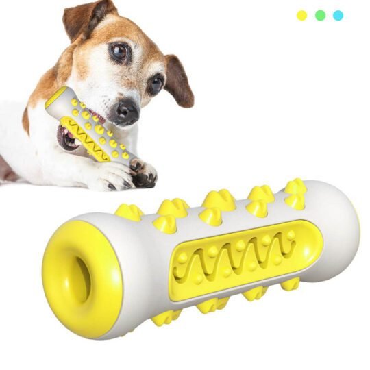Pet Dog Molar Toothbrush Chew Toy (1)