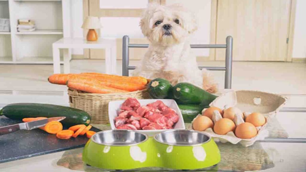 What To Feed Dogs With Chronic Active Hepatitis