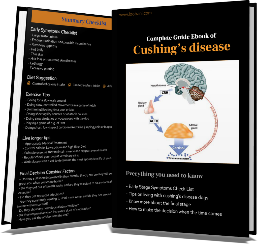 Cushing's Disease Guide Ebook
