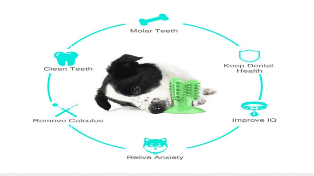 How to treat periodontal disease in dogs