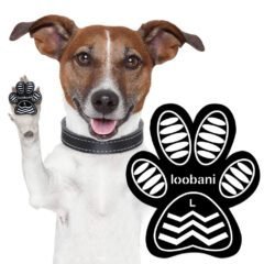 LOOBANI Dog Anti-Slip Toe Grips, Paw Traction Pads for Dogs, Provides Extra  Traction and Support for Senior Dogs or Dogs with Weak Paw to Keep Them