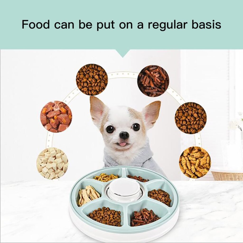 Automatic Feeder Regular And Quantitative Tableware 6 Cells Safe Digital Six-hole Smart Dog Easy To Disassemble Pet Bowl
