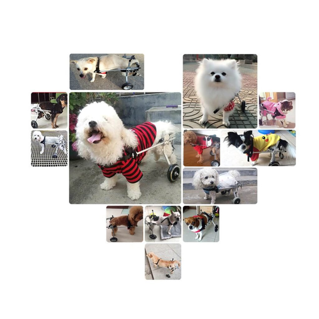 Pet Dog Cat Wheelchair For Handicapped Dog 2 Wheels Stainless Steel Disabled Dog Rehabilitation Wheelchchair