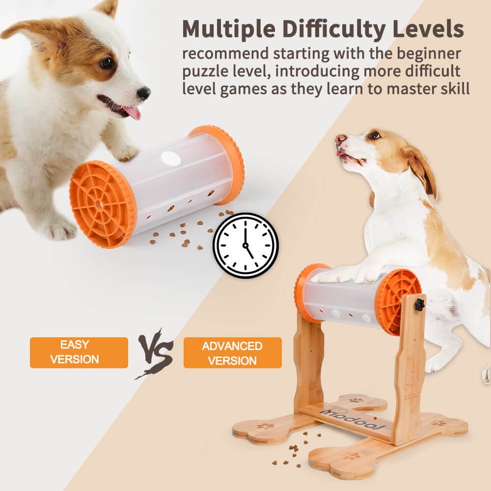 15 Best Interactive Dog Toys 2022 - Fun Interactive Dog Feeder and