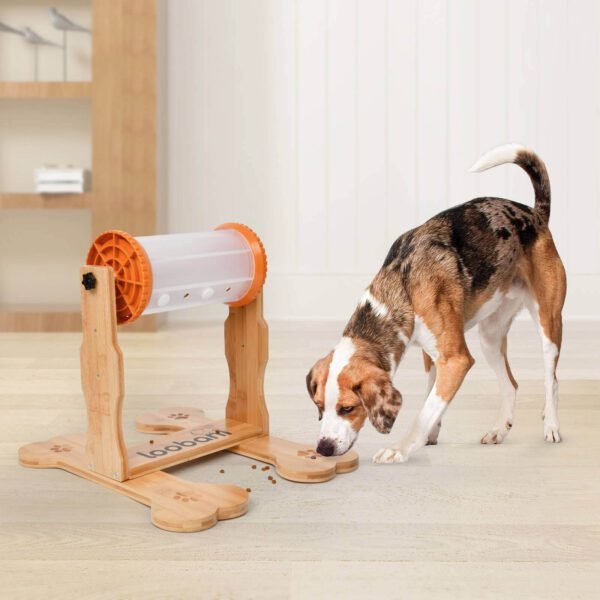 How smart is your dog ? 🤓 We tried this puzzle toy by @Loobani to tes