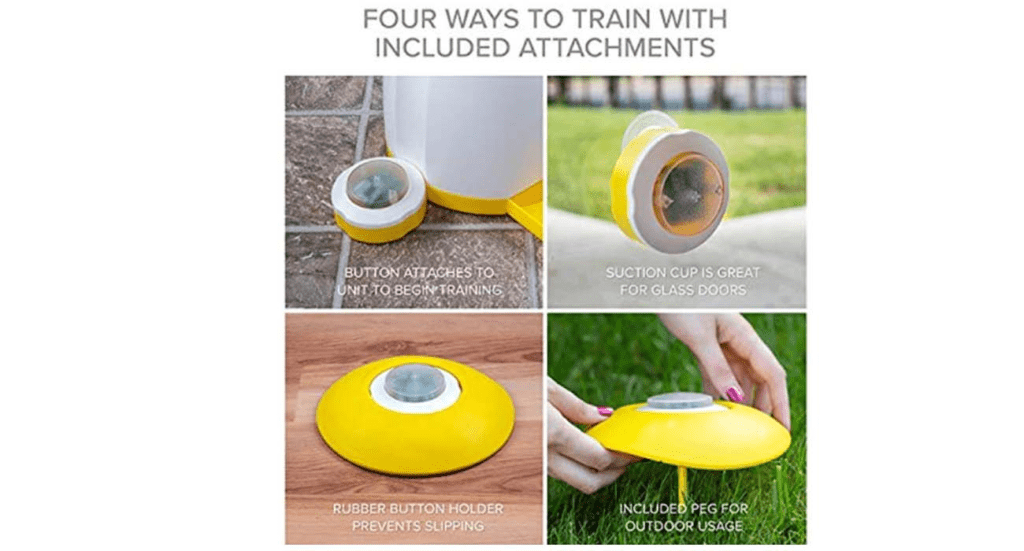 interactive toys for smart dogs